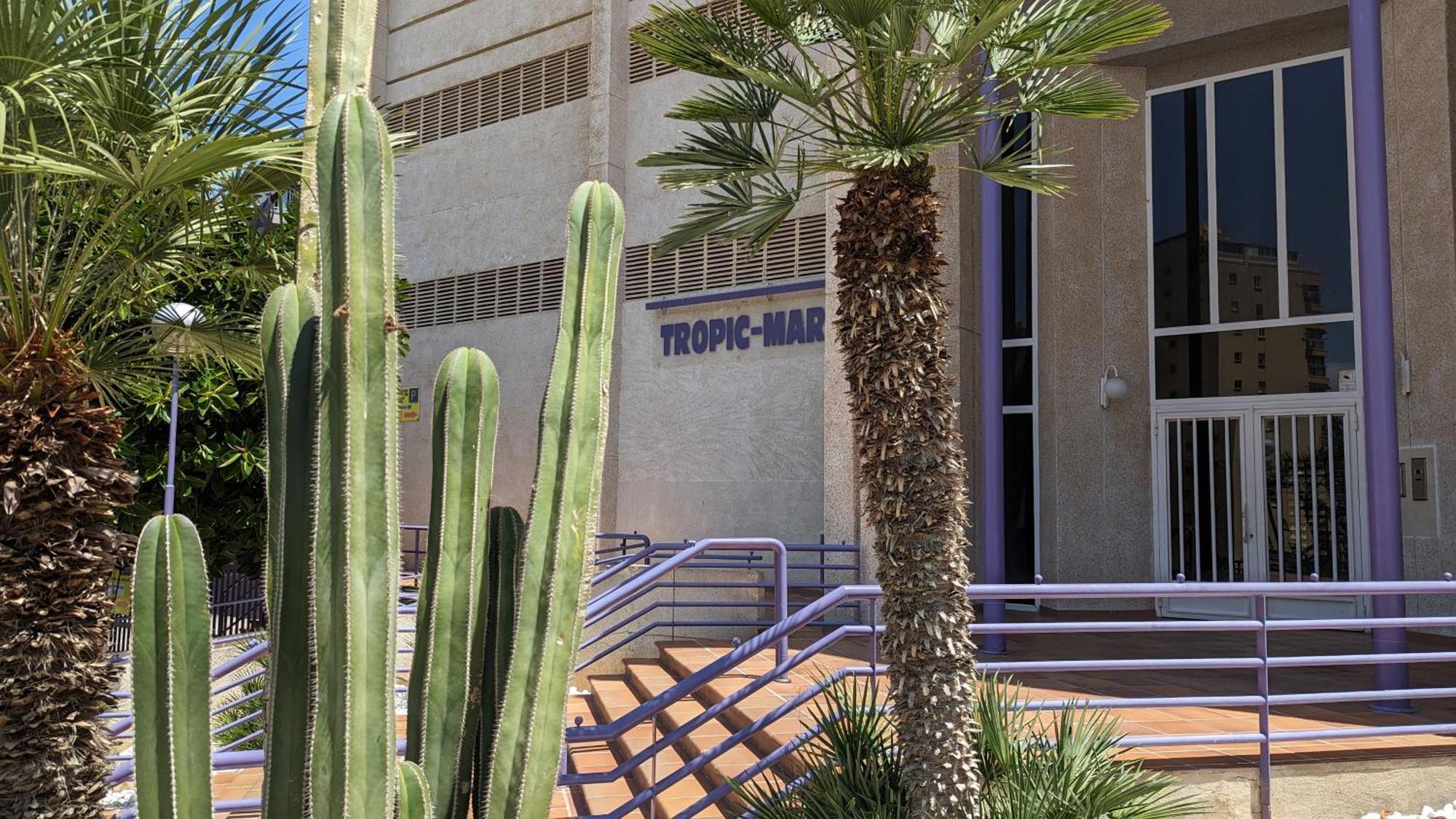 Tropic Mar Sea View Apartments Benidorm Exterior foto